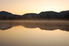 Brume matinale sur le fleuve Yukon, près de Whitehorse
